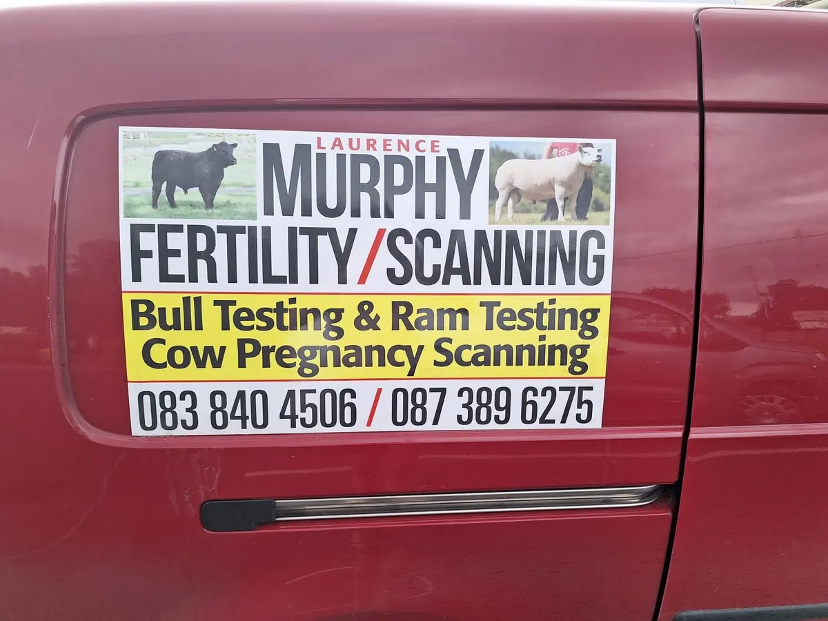 Bull Fertility Test,Semen Analysis Cert - Image 1
