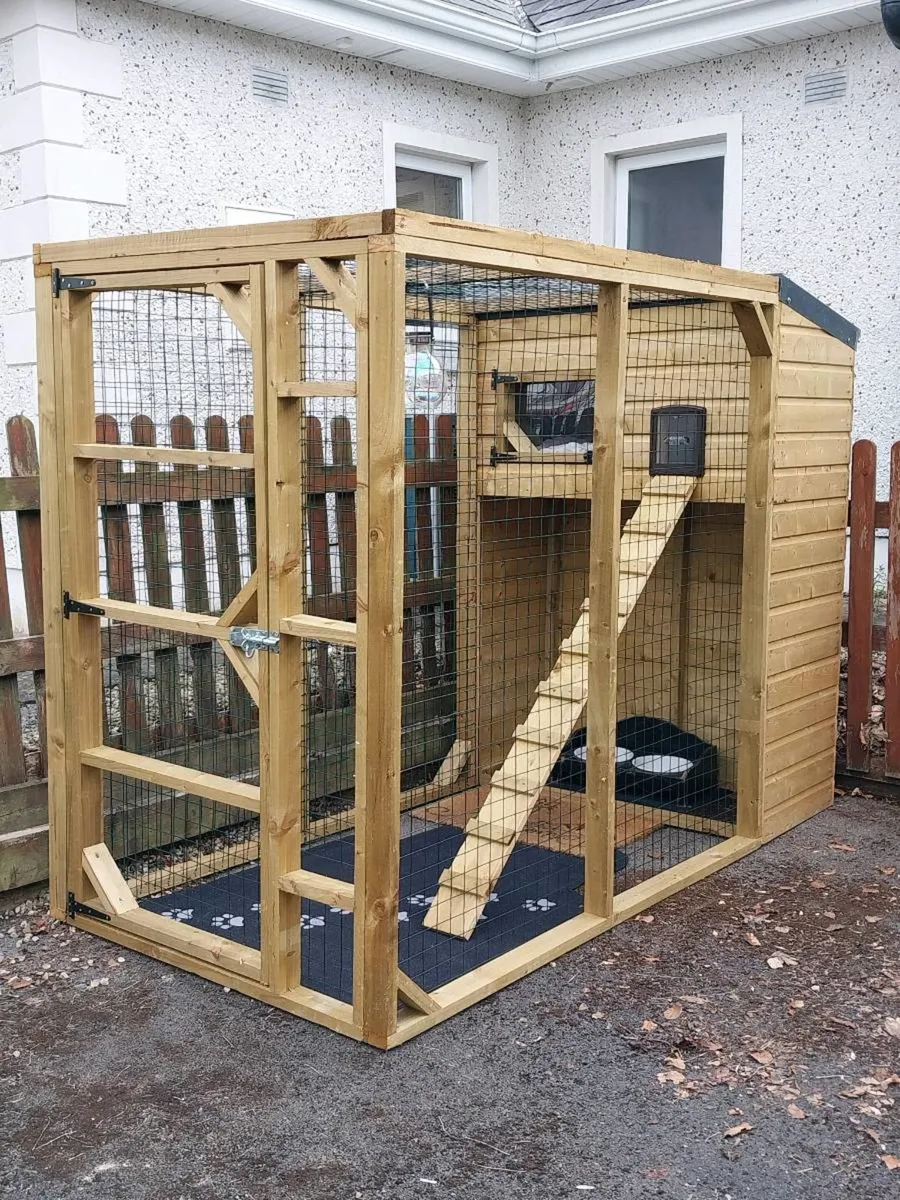 Cat Runs - Image 3