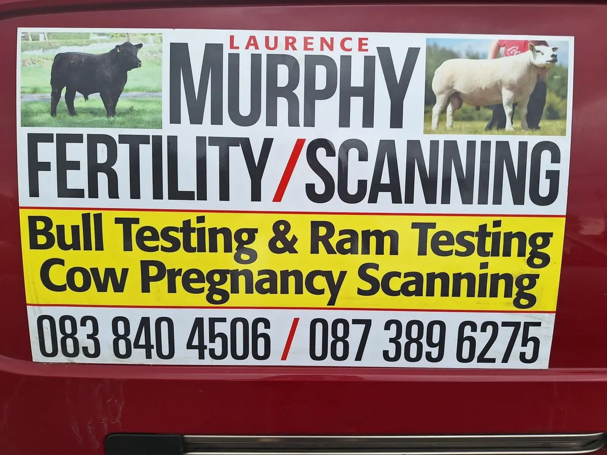 Cow scanning ,Bull Fertility, no arming