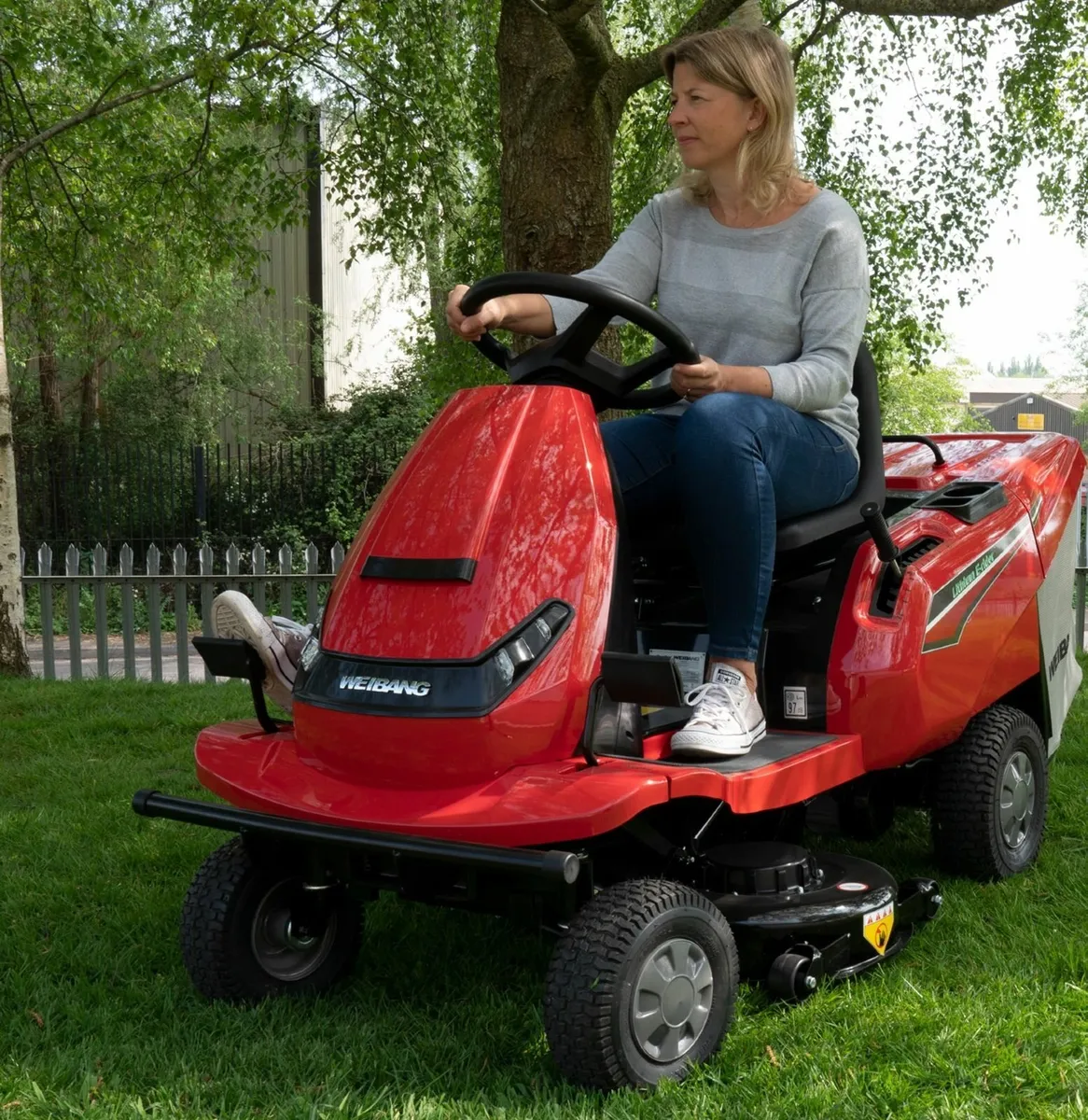 lawnmower rideon battery - Image 1