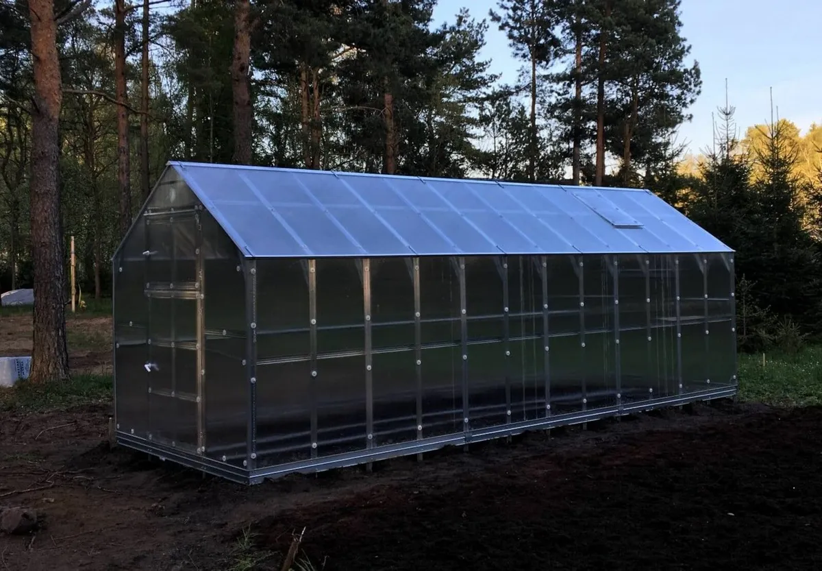 Greenhouse - House glasshouse 6mm sheeting - Image 3
