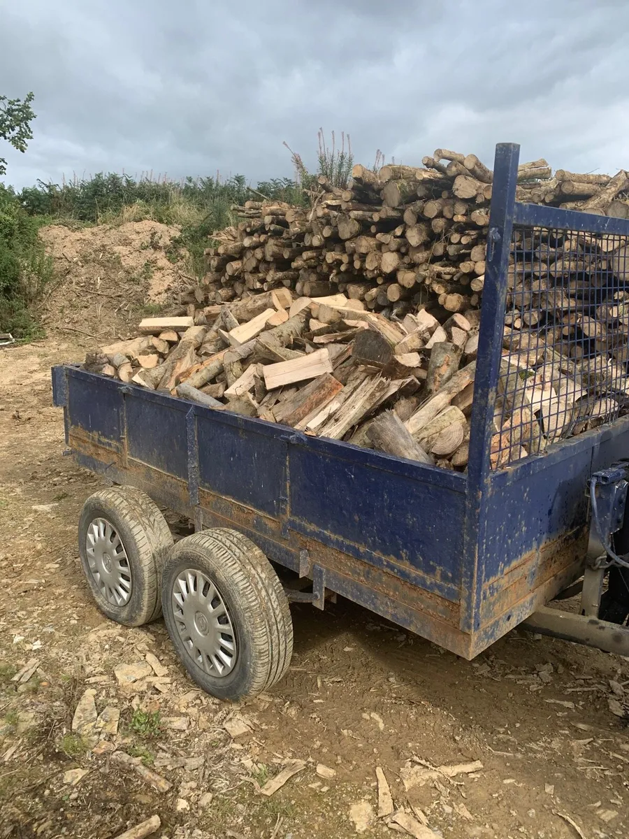 Trailer load’s hardwood timber