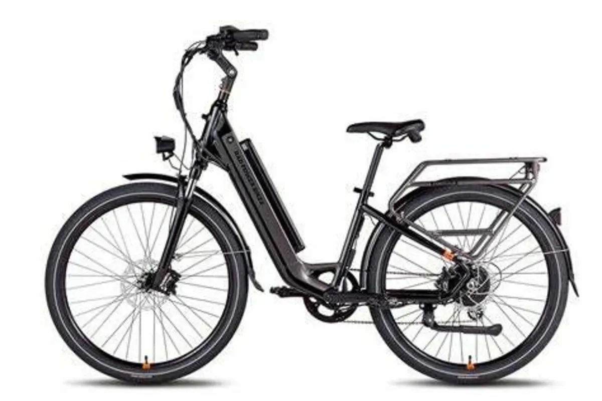 RadCity 5 Plus eBike FULLY EQUIPPED (40)