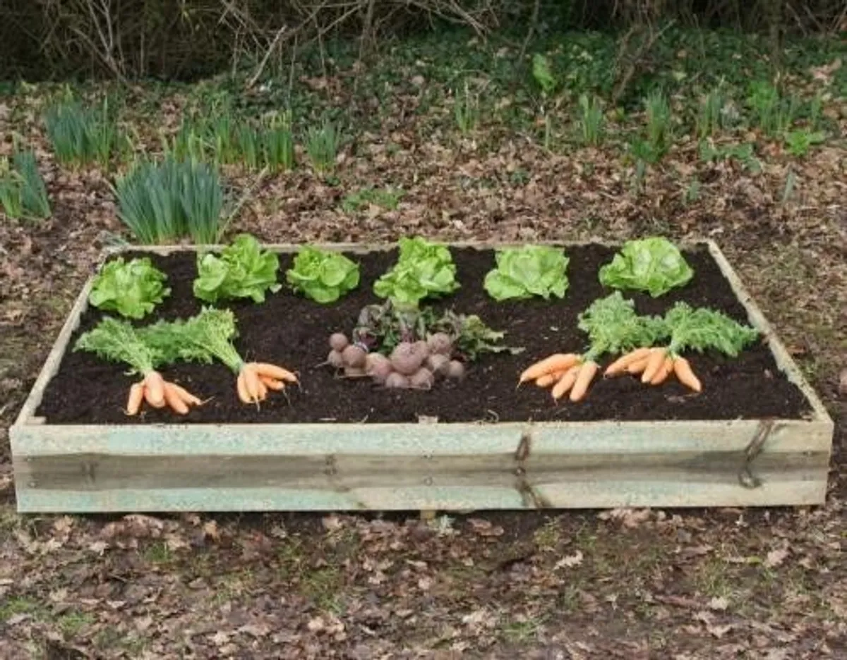 topsoil - Image 3