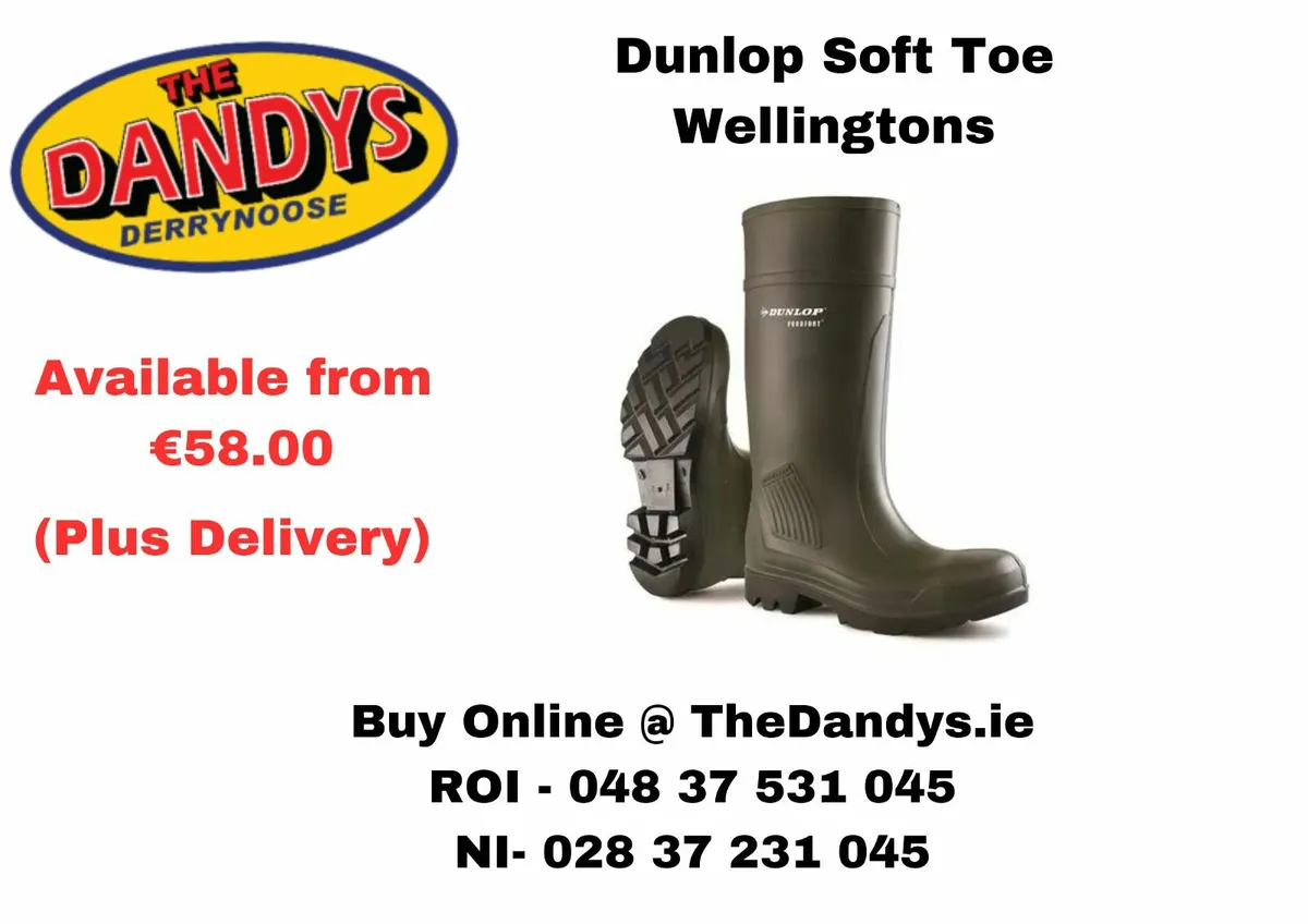 Lowest cost Dunlop Wellingtons in Ireland - Image 3