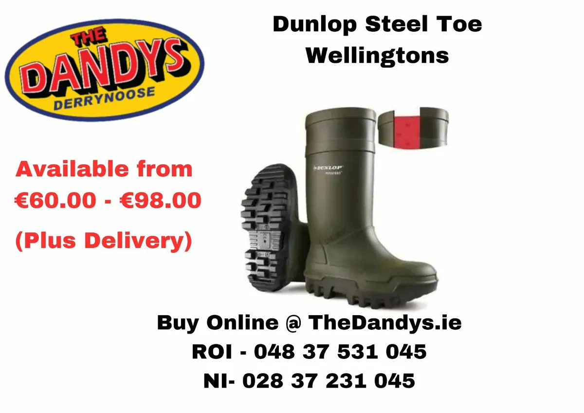 Lowest cost Dunlop Wellingtons in Ireland - Image 1