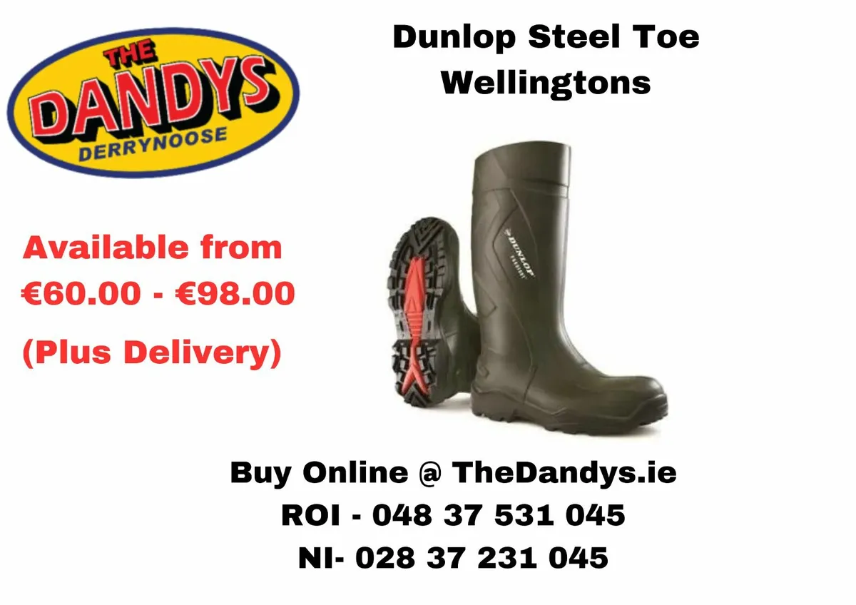 Lowest cost Dunlop Wellingtons in Ireland - Image 4