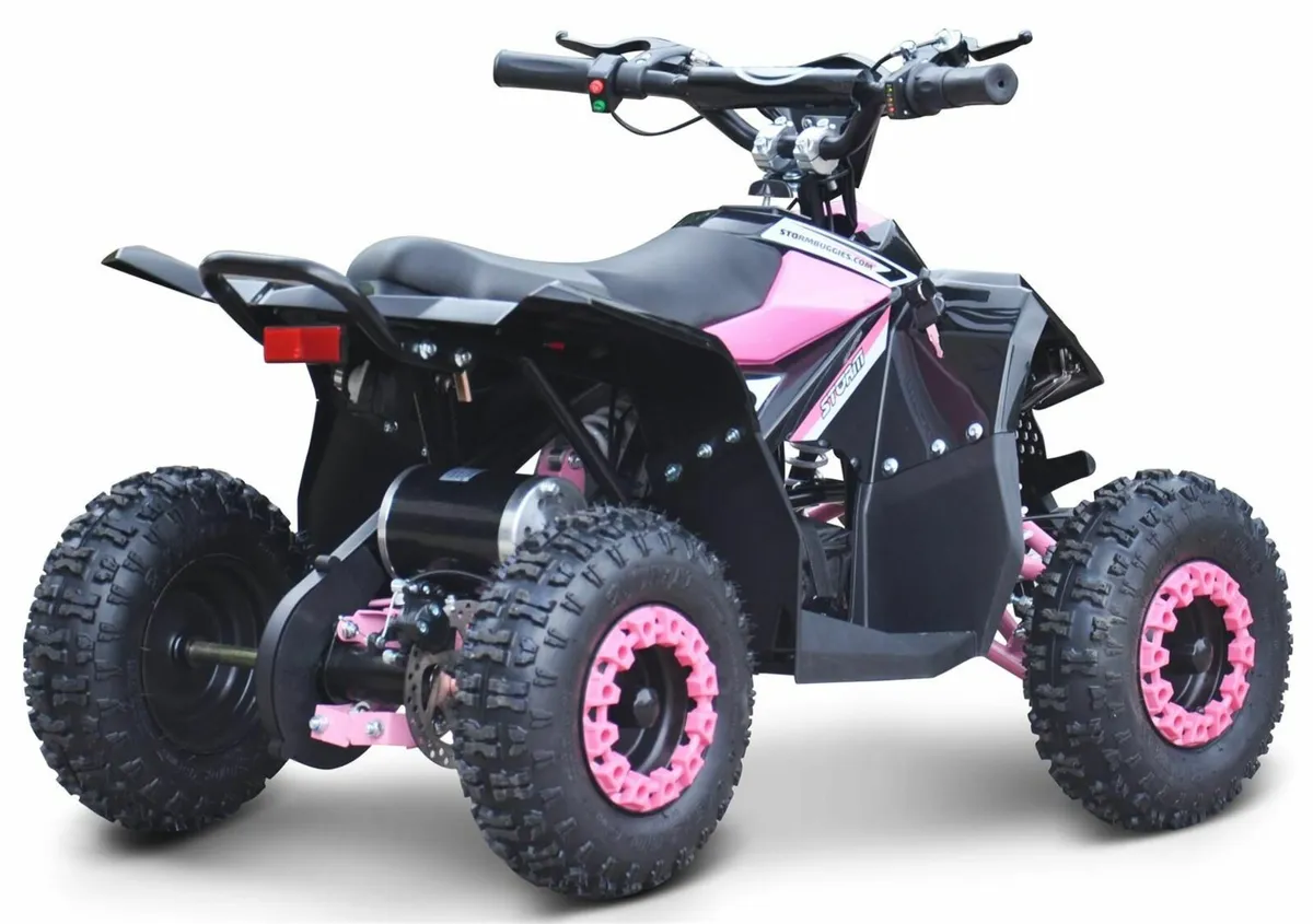 RENEAGDE Ranger KIDS Electric quad DELIVERY+OTHERS - Image 4