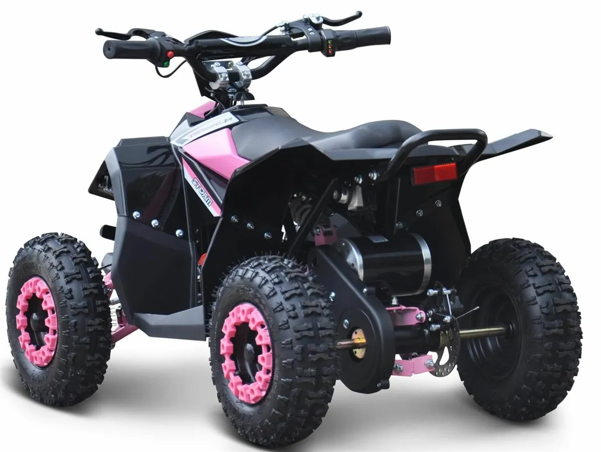 RENEAGDE PINK KIDS Electric quad DELIVERY/WARRANTY - Image 4