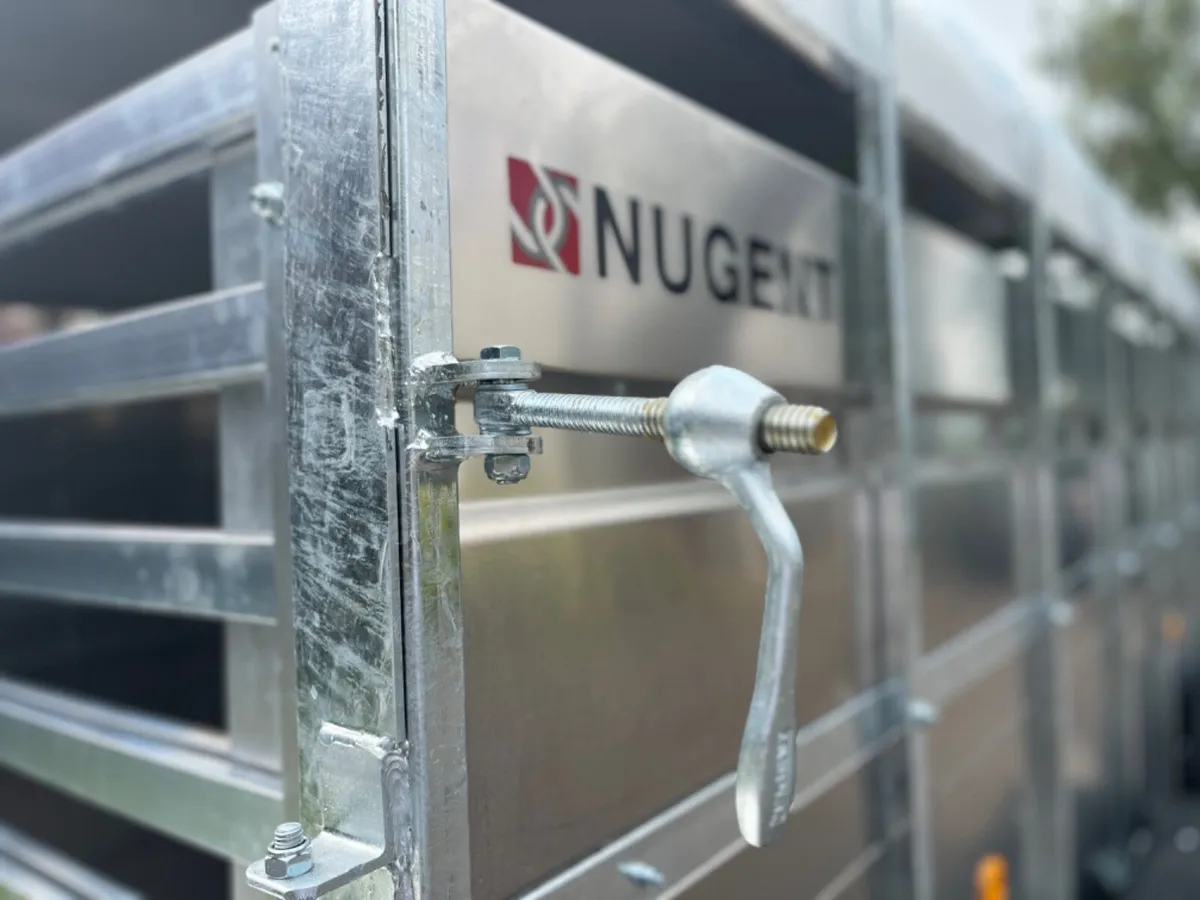 Nugent 12 x 6 cattle Trailer - Image 4