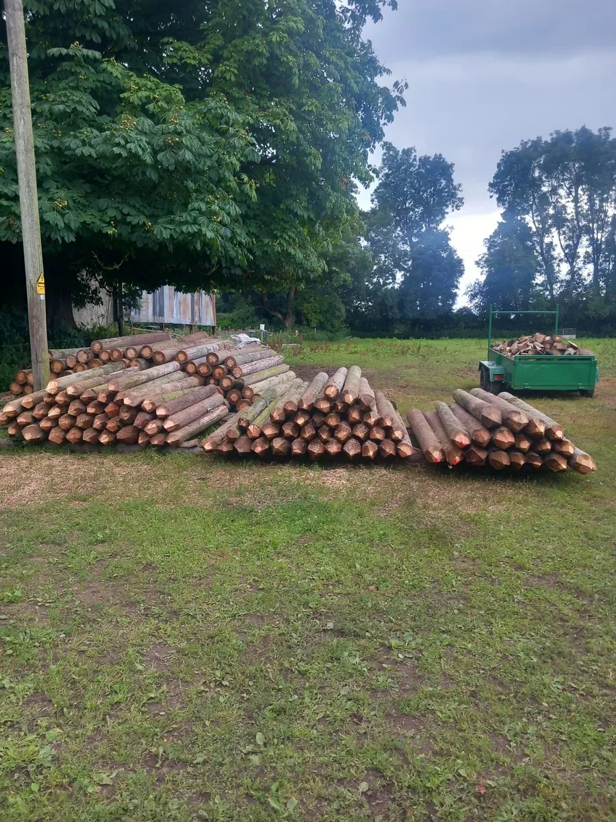 Strainer posts for sale in Co. Tipperary for €1,000 on DoneDeal