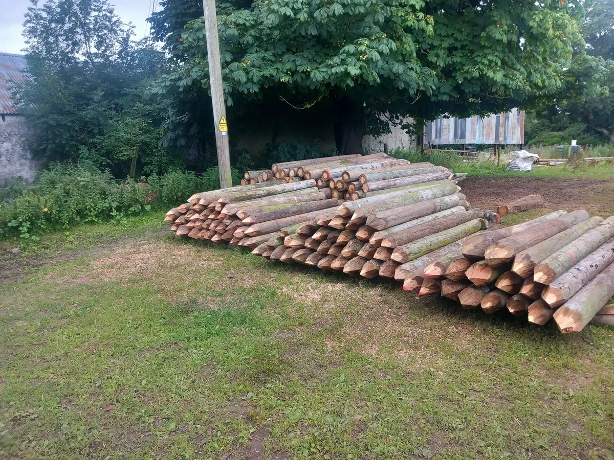 Strainer posts for sale in Co. Tipperary for €1,000 on DoneDeal
