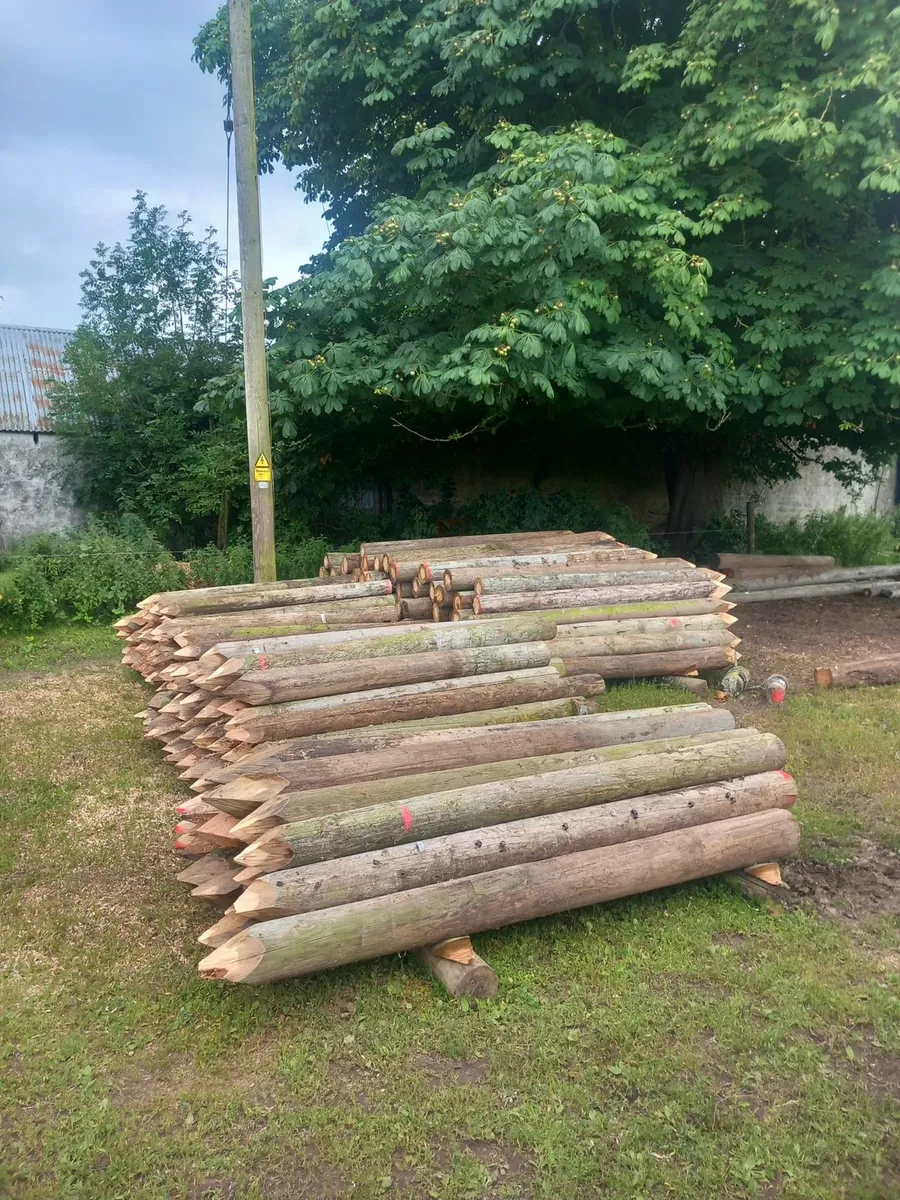 Strainer posts for sale in Co. Tipperary for €1,000 on DoneDeal