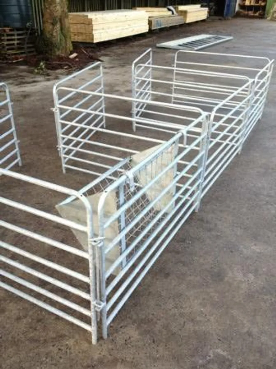 Sheep gates - feeders - foot baths - Image 1