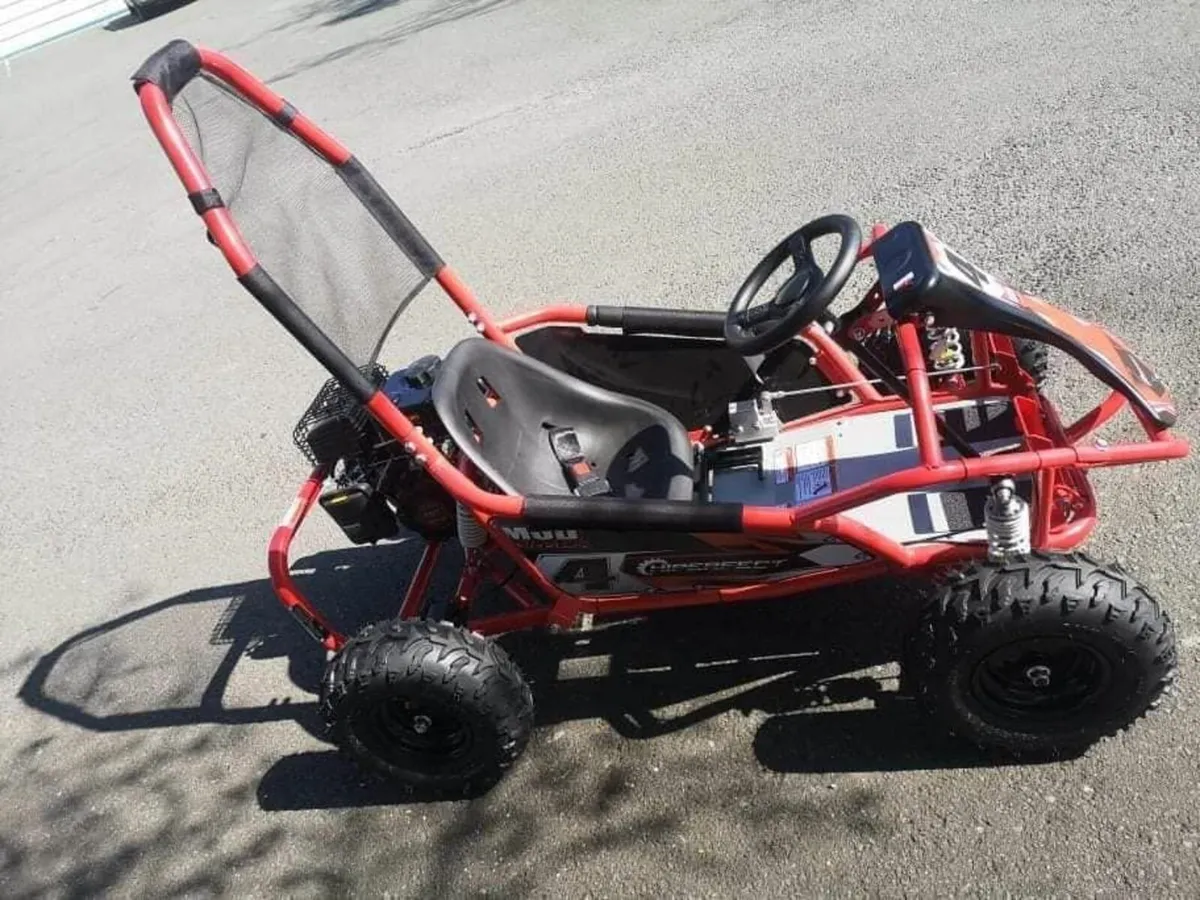 MUDMOSTER Kids Petrol BUGGY DELIVERY EASYPAY - Image 3