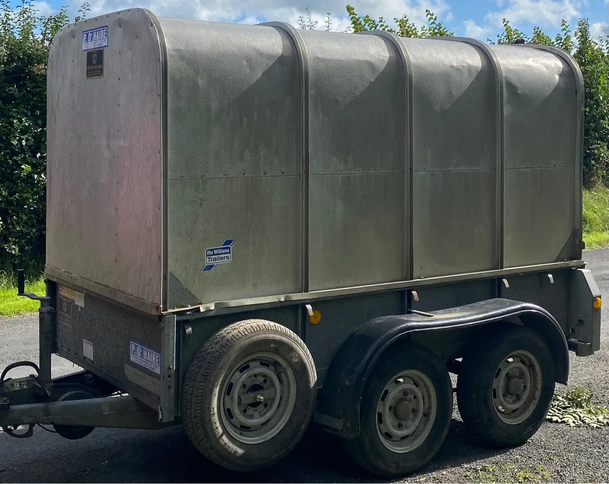 8 x 4 Ifor Williams Trailer - Image 1