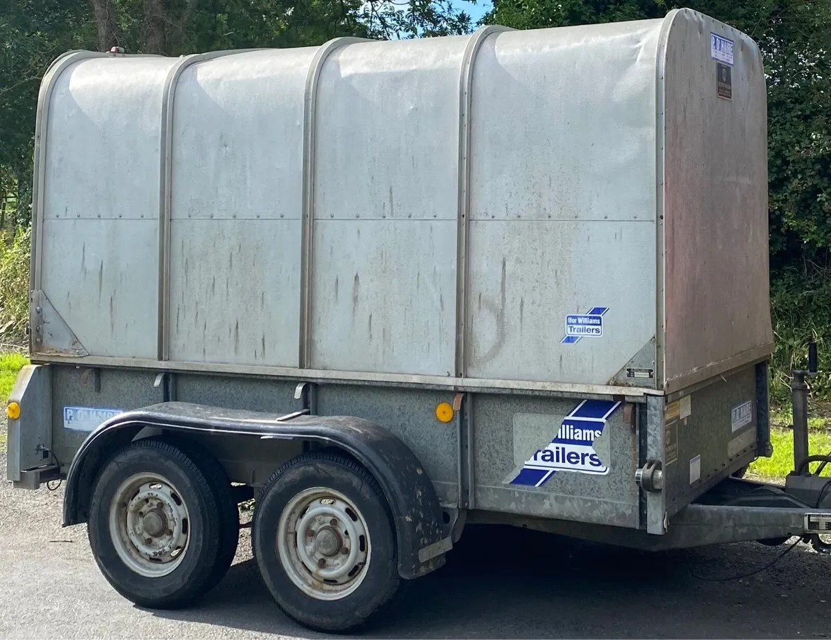 8 x 4 Ifor Williams Trailer - Image 2