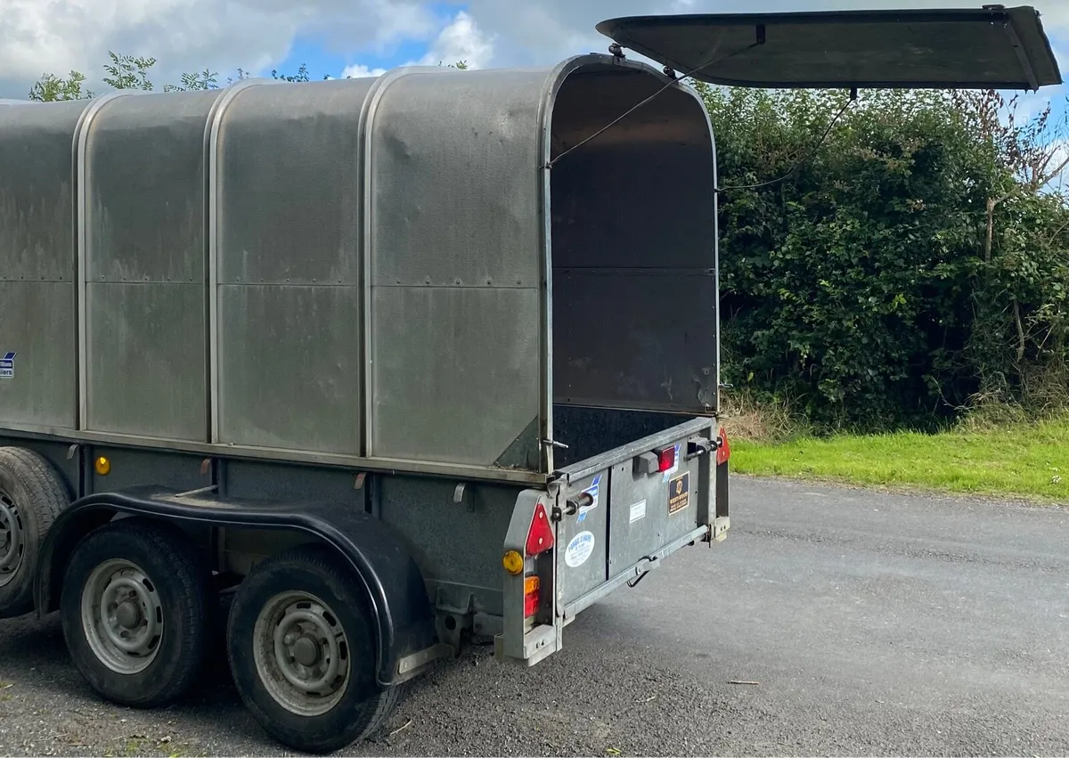 8 x 4 Ifor Williams Trailer - Image 4