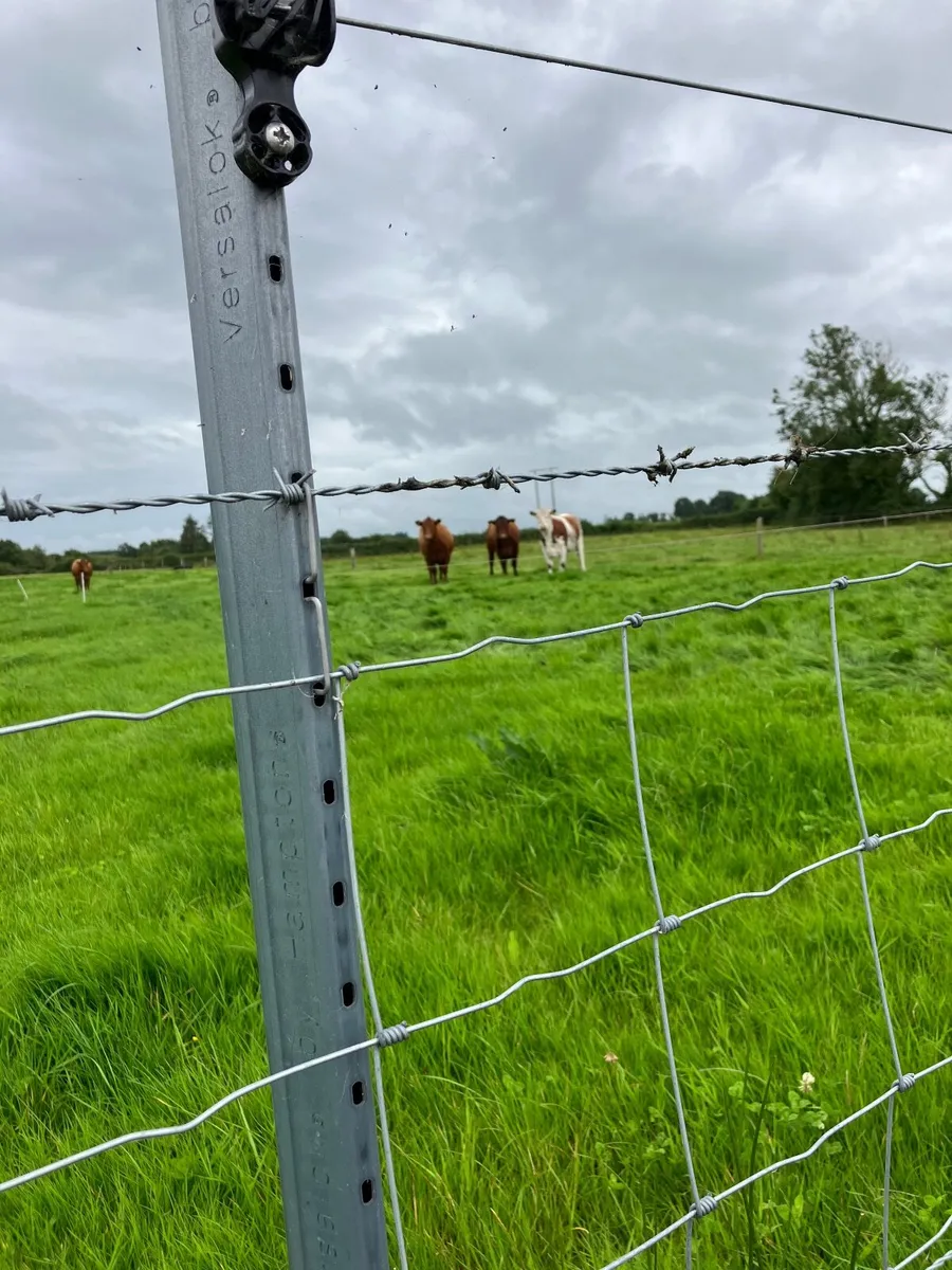 Steel fencing posts - Image 3