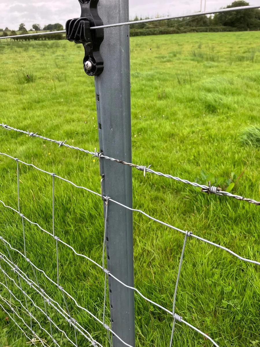 Steel fencing posts - Image 4