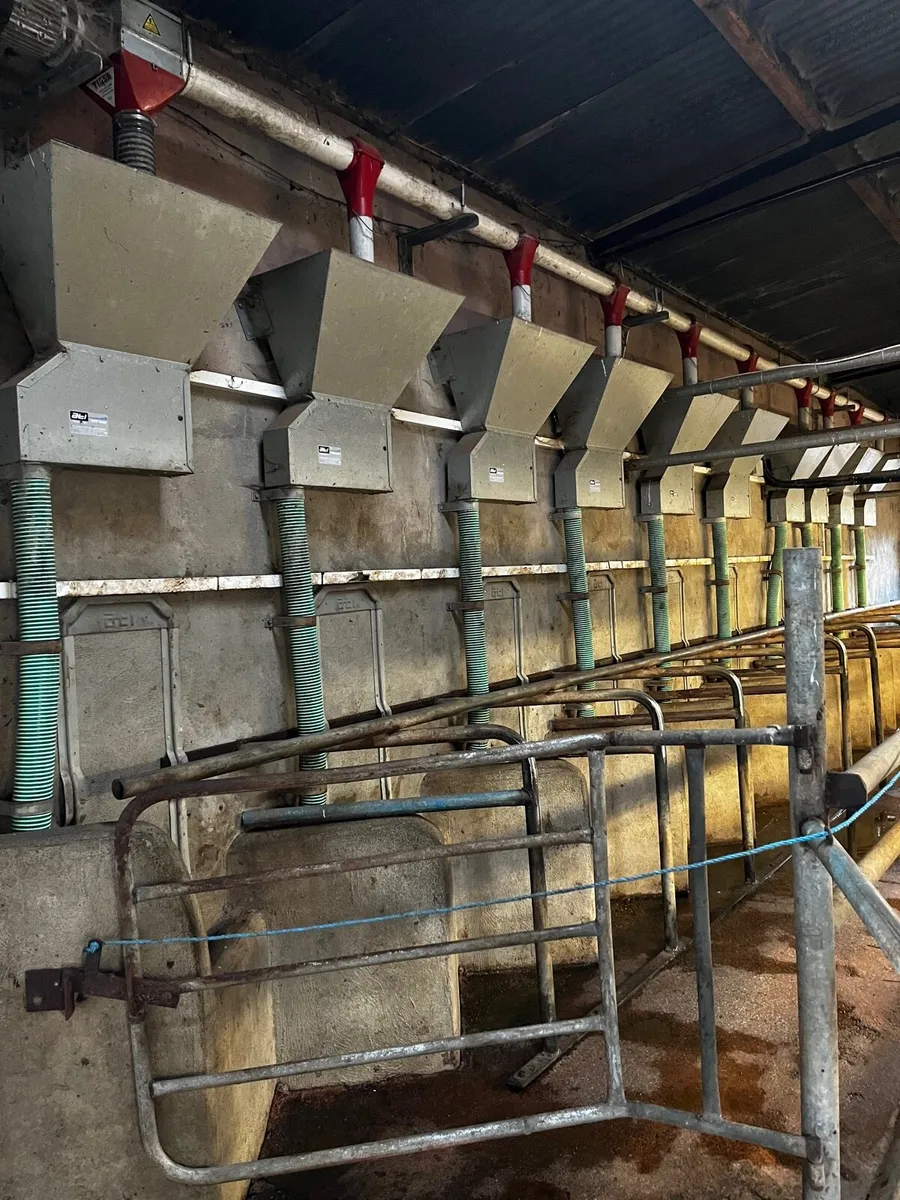 Milking parlour & feeders - Image 3