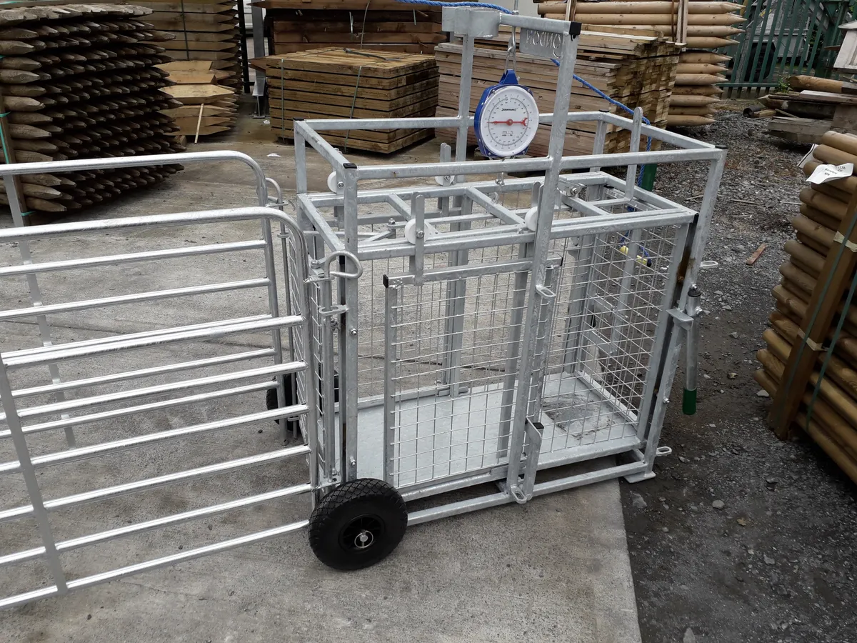 Sheep equipment - Image 1