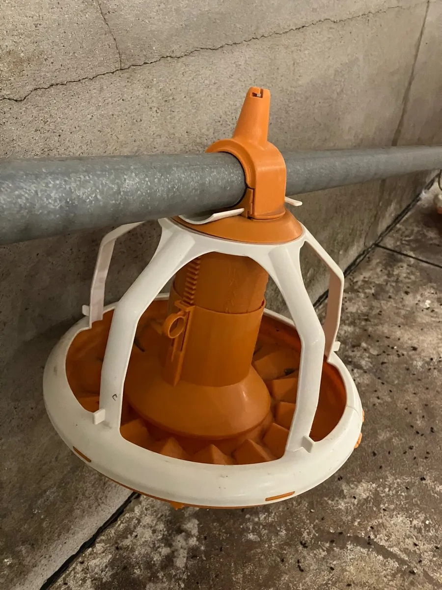 Poultry equipment RING for INFO - Image 4