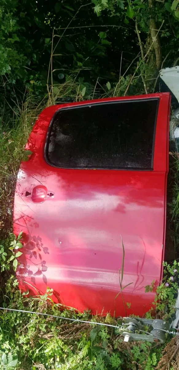 Canter ,Scoda lamp, hilux door, berlingo,kangoo - Image 3