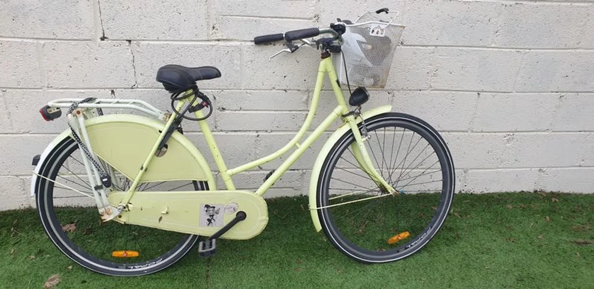 womens dutch bike with basket