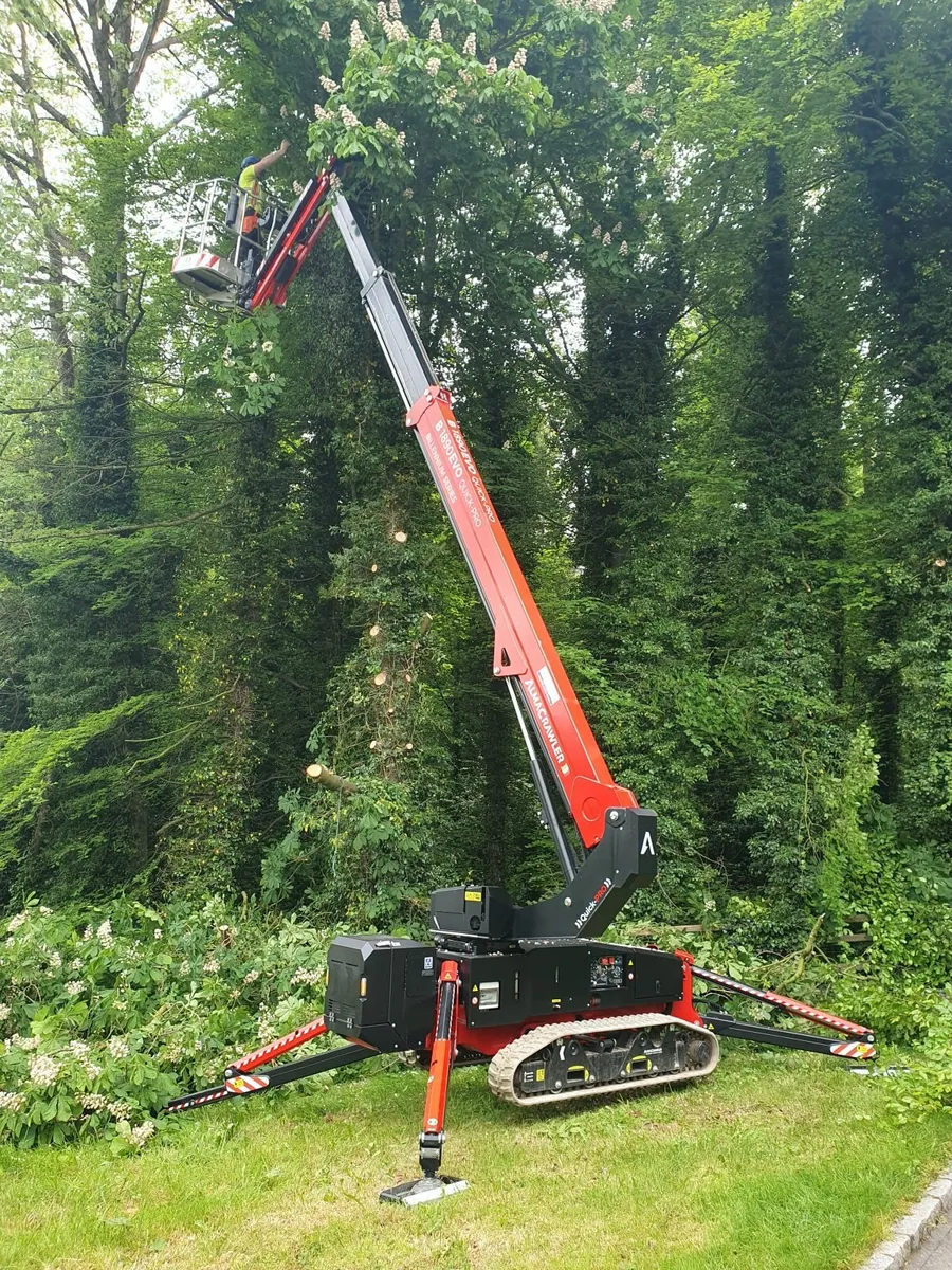 Almacrawler Rough Terrain Tracked Boom and Scissor - Image 2
