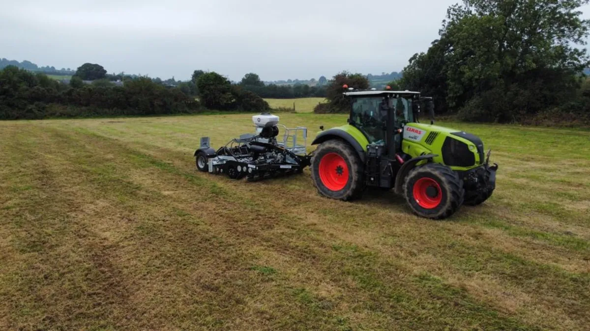 Alstrong Auctus Grass Overseeding/Reseeding - Image 1