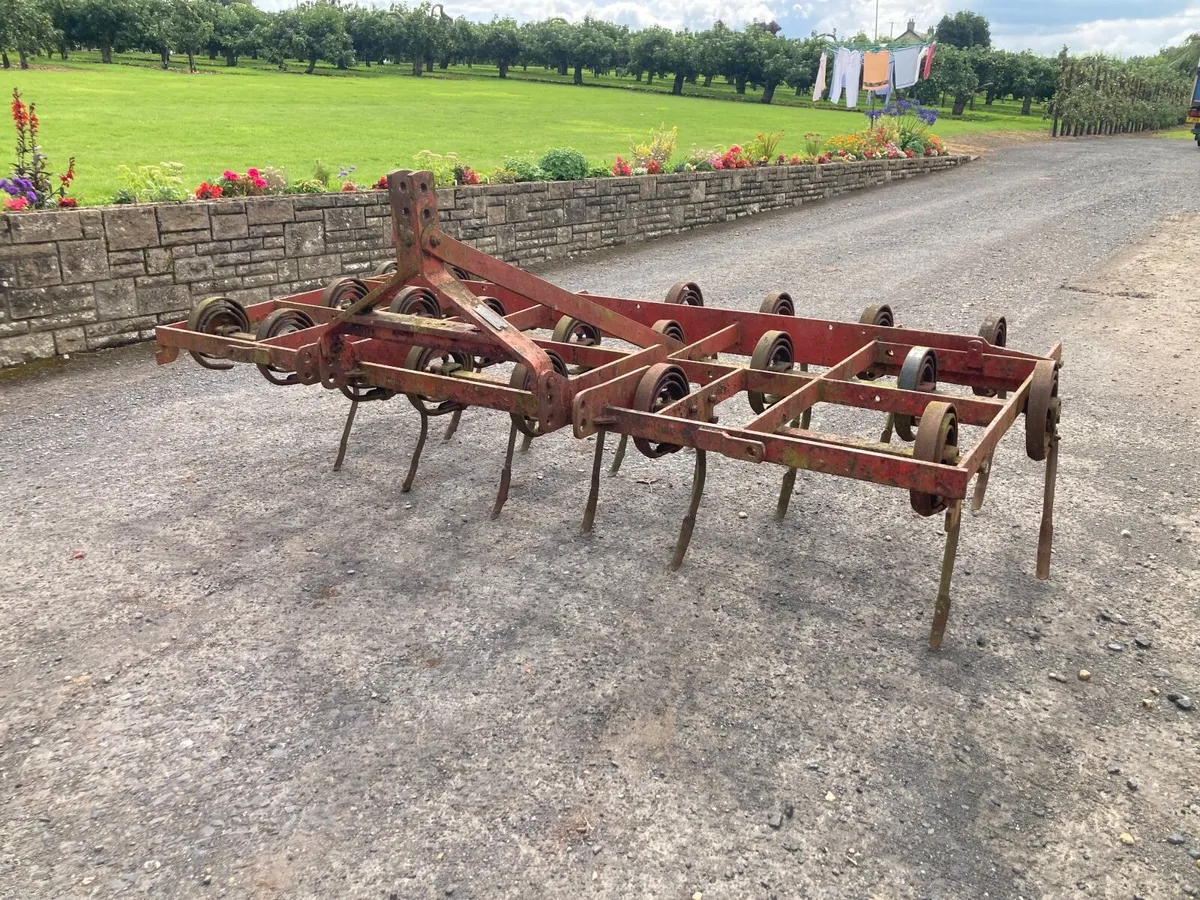 Massey Ferguson Spring tine grubber. - Image 2