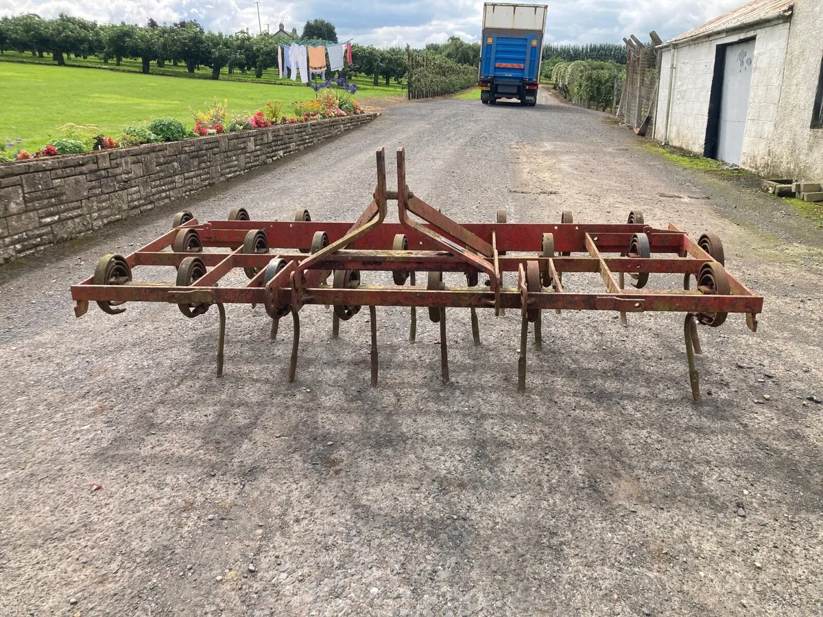 Massey Ferguson Spring tine grubber. - Image 3