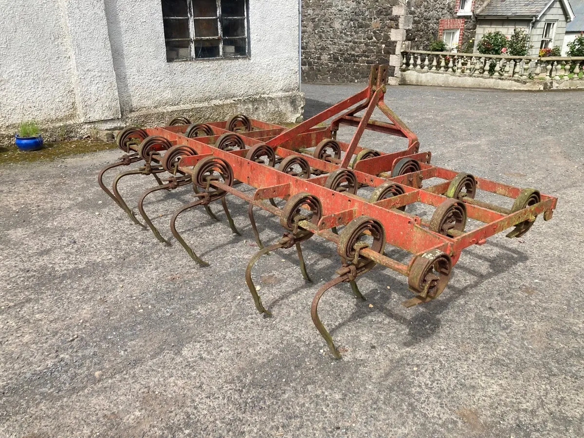 Massey Ferguson Spring tine grubber. - Image 4