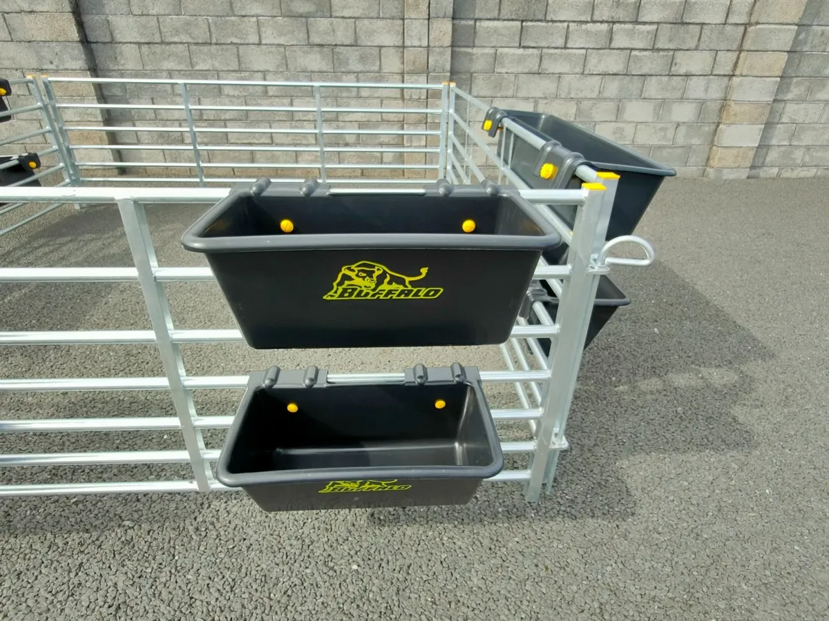 Sheep equipment - Image 2