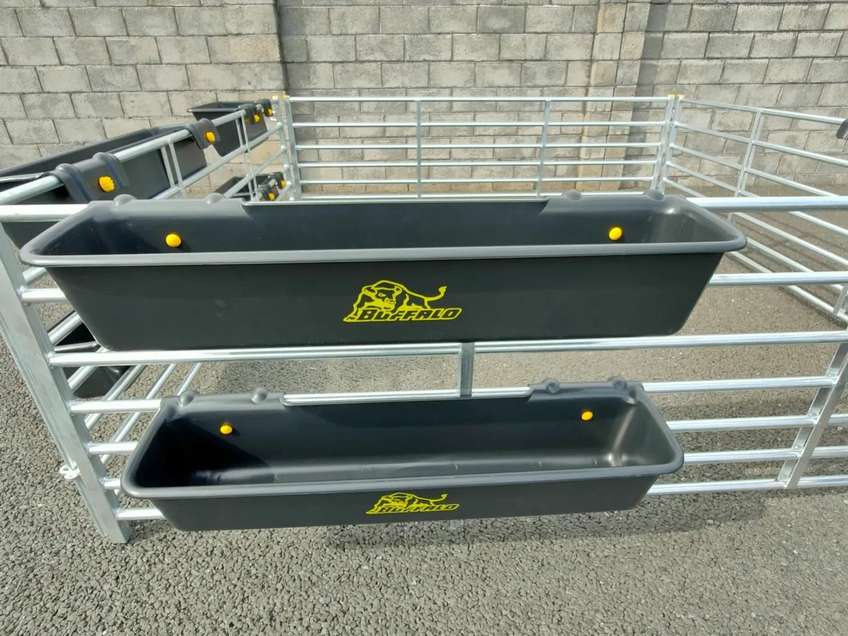 Sheep equipment - Image 1