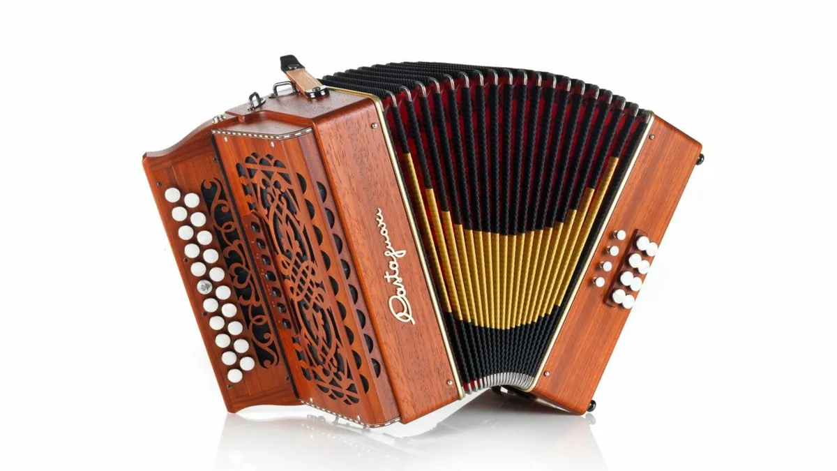 Wielly Castagnari Accordion - Image 1