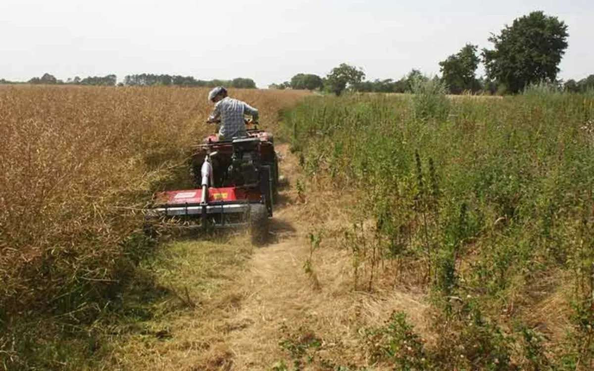 NEW Logic Quad MFT Flail Mower - Image 4