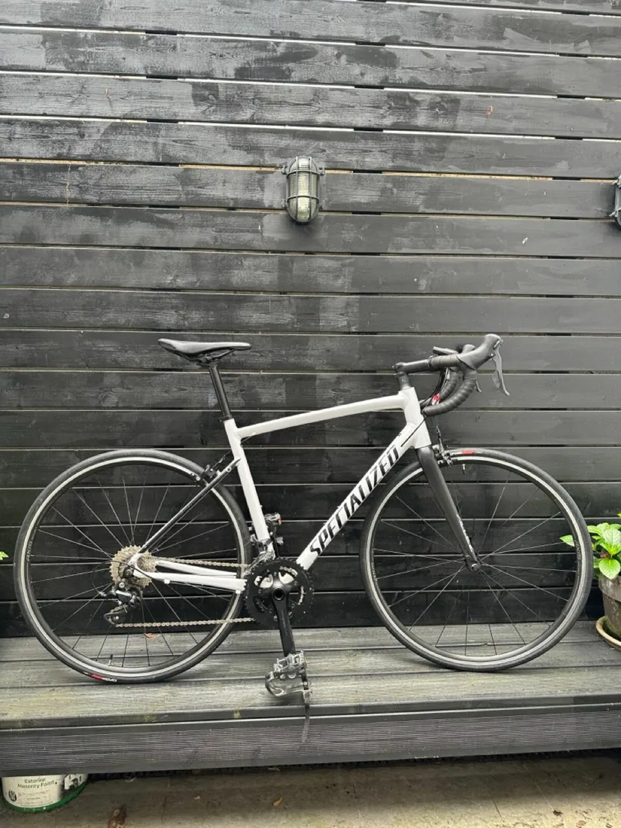 specialized allez road bike 2021