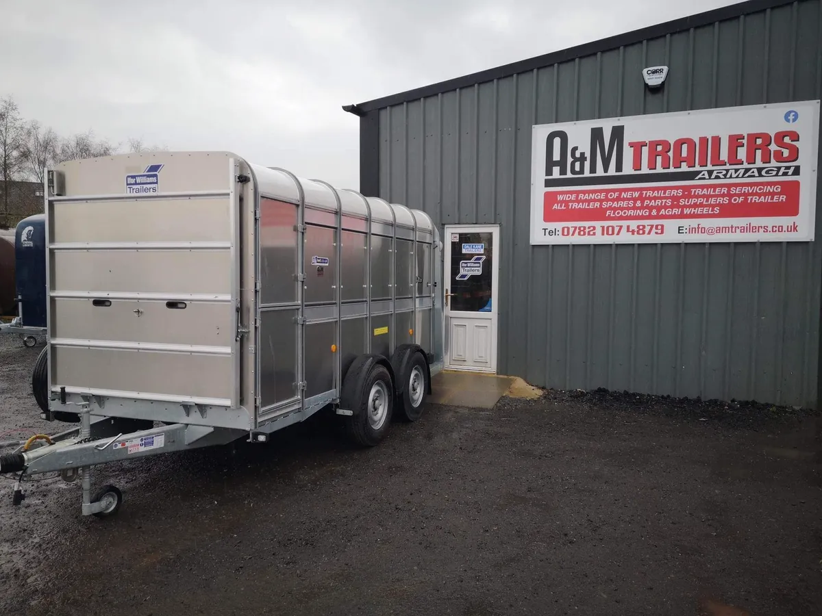 Ifor Williams cattle trailer 12x6 - Image 1