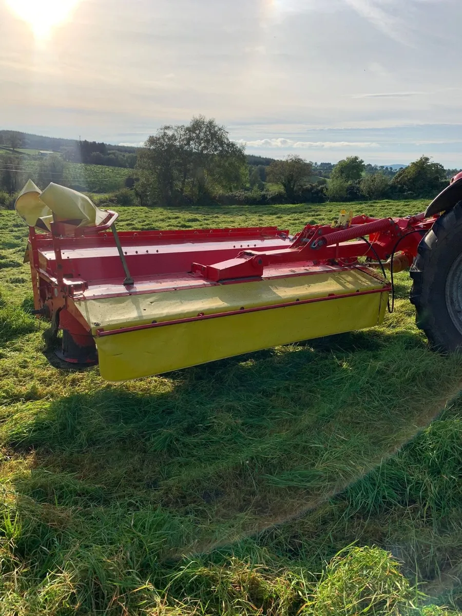 POTTINGER 305 H EXTRA DRY - Image 1