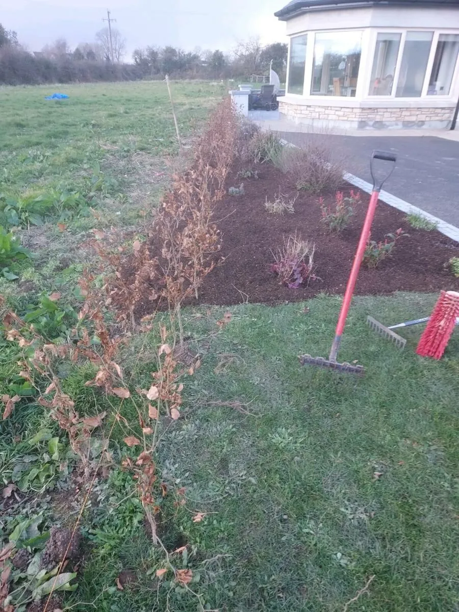 Hedge & Tree Planting - Image 4