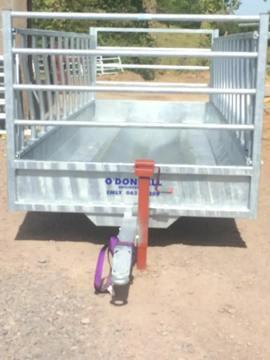 16' Feeding trailers Fully Galvanised - Image 2