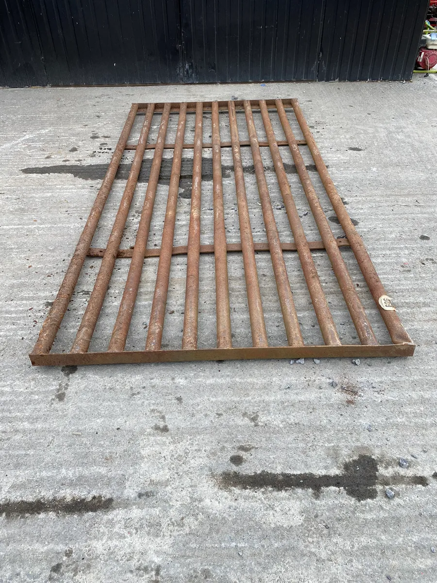 10ft Cattle Grid
