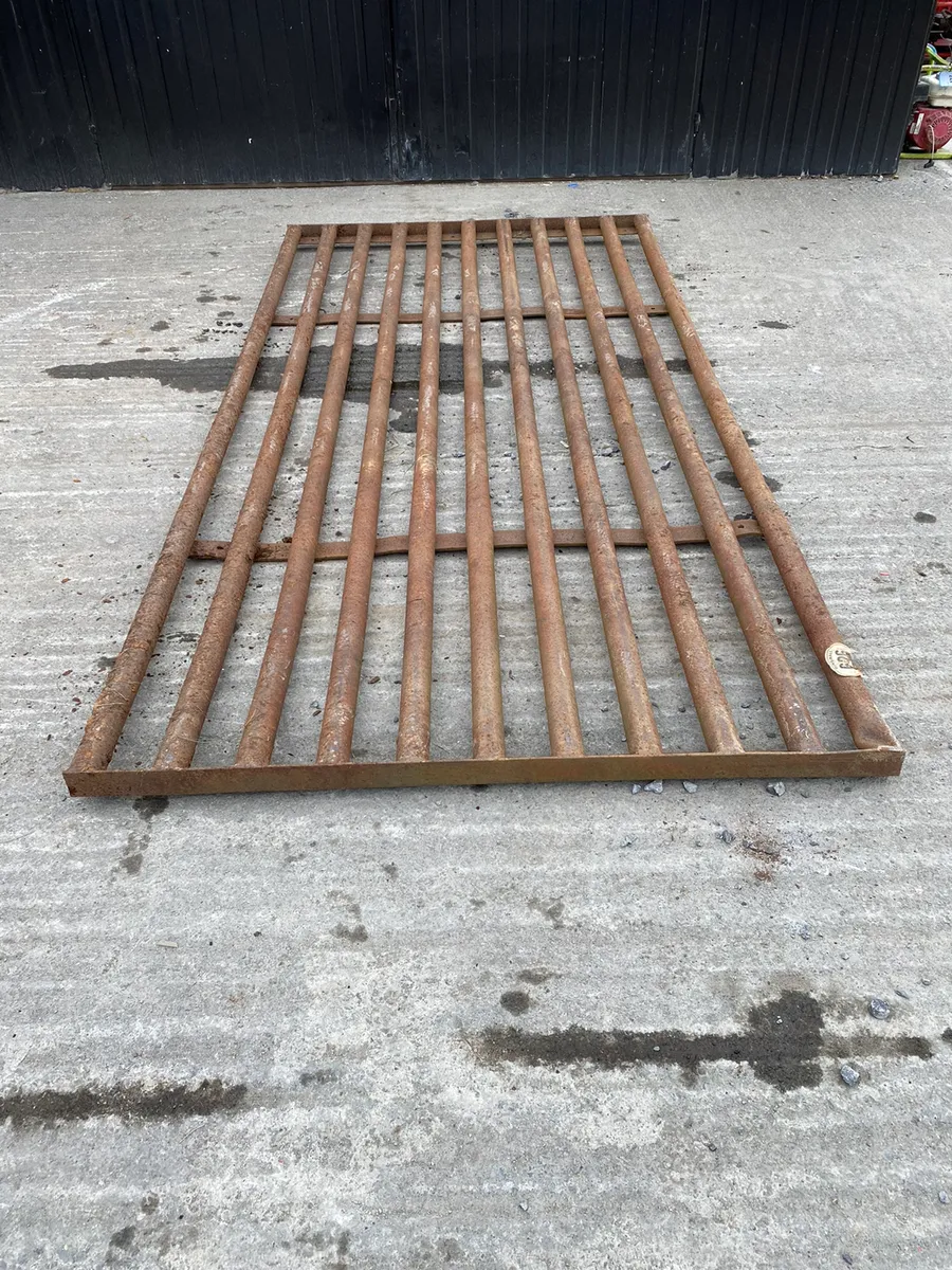 10ft Cattle Grid - Image 1