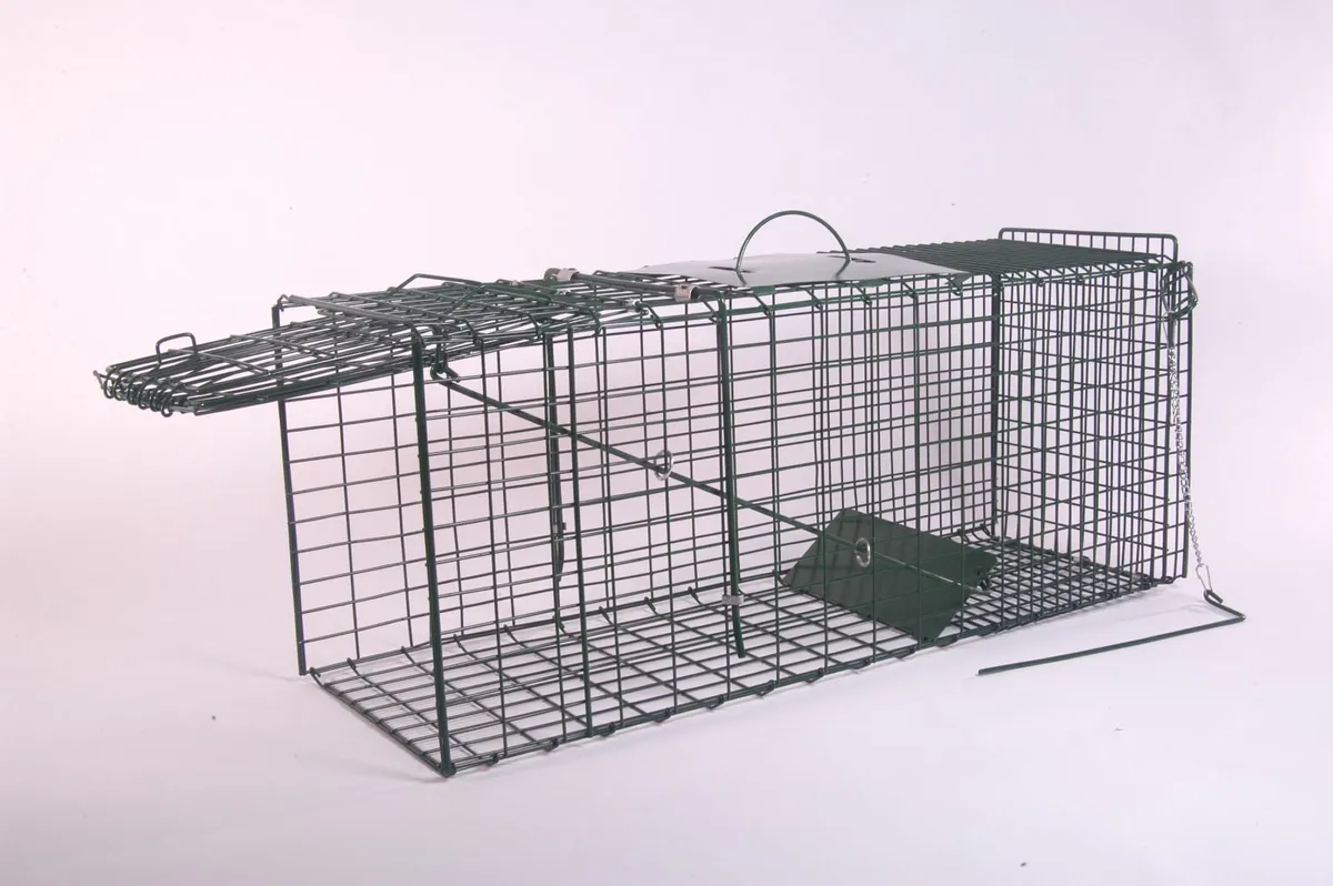 Cat Cage Traps For Neuter & Release. - Image 2