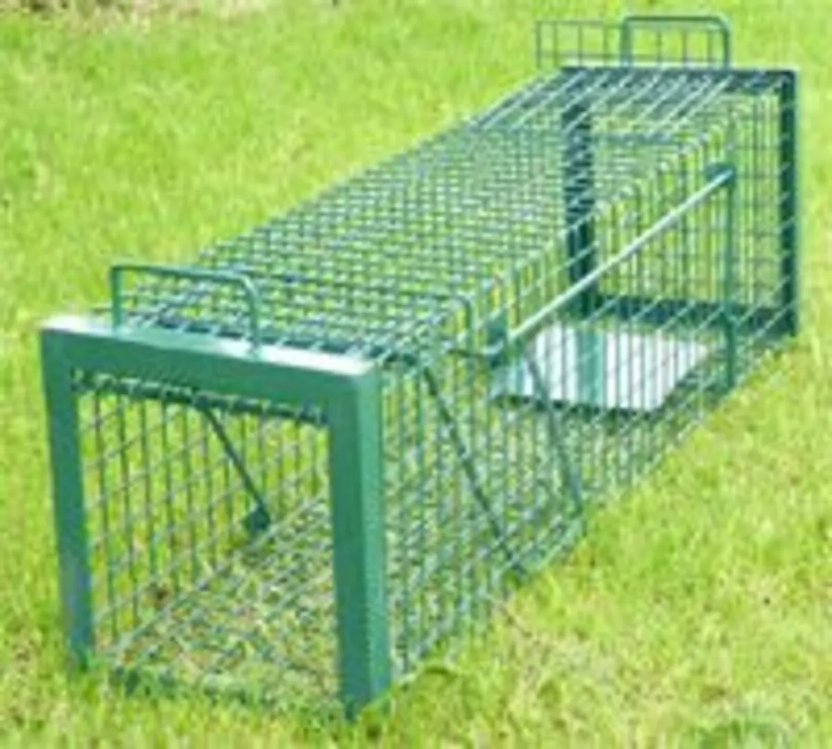 Cat Cage Traps For Neuter & Release. - Image 3