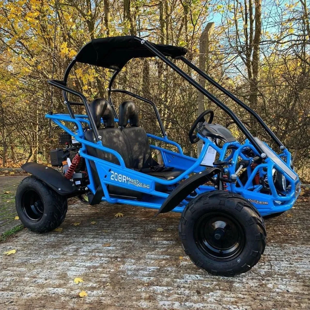 Hammerhead buggy hot sale for sale