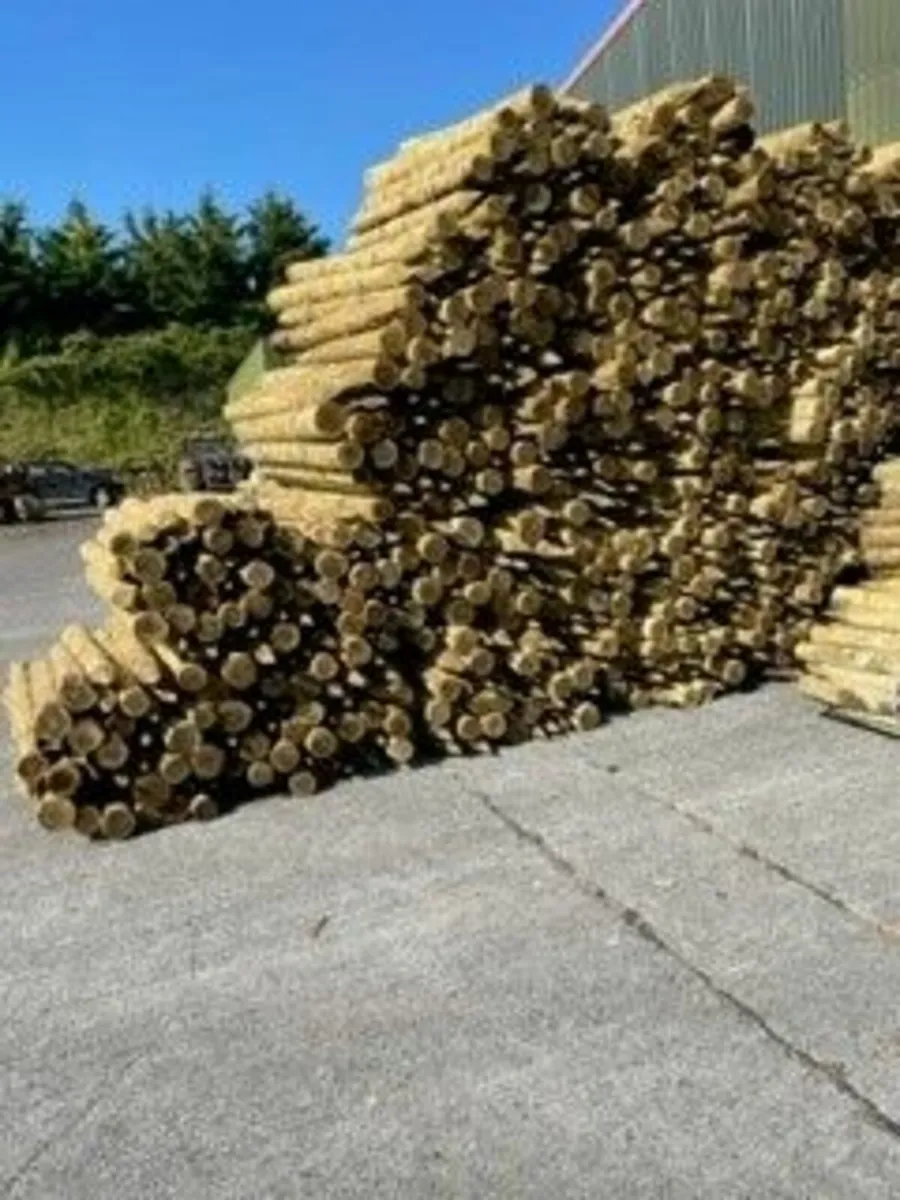 Farm Fencing Posts - Image 3