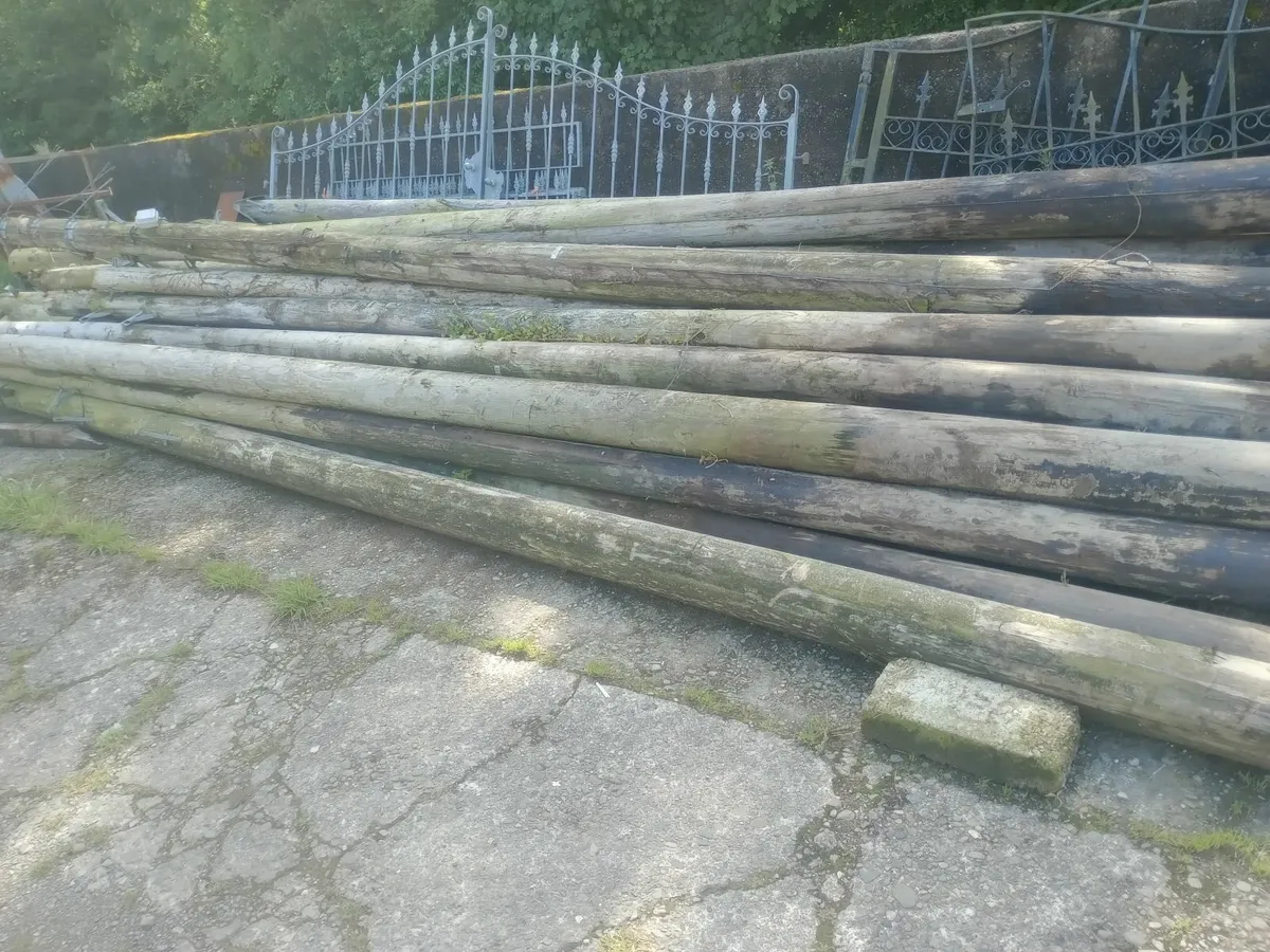 Telegraph poles and channel iron - Image 1